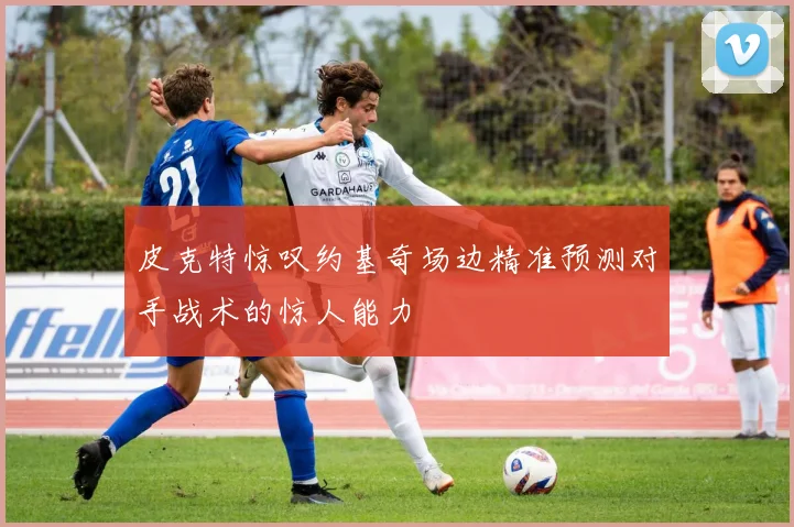 皮克特惊叹约基奇场边精准预测对手战术的惊人能力